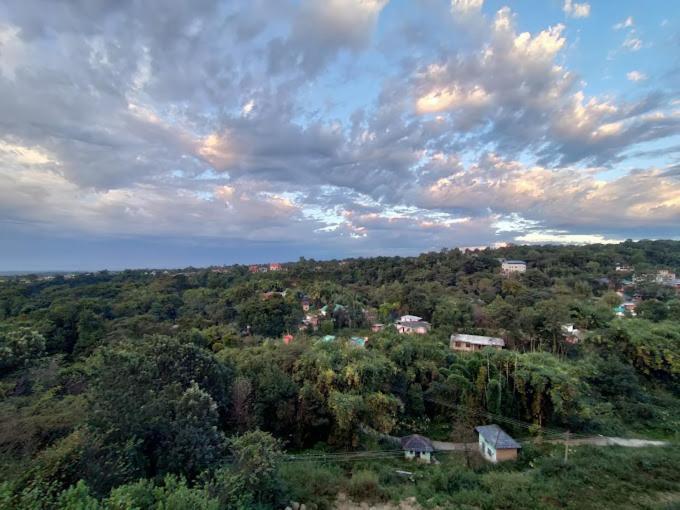 Hotel Saint Palampur Bagian luar foto