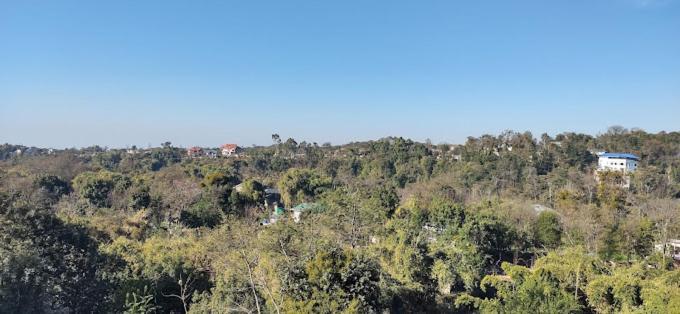 Hotel Saint Palampur Bagian luar foto